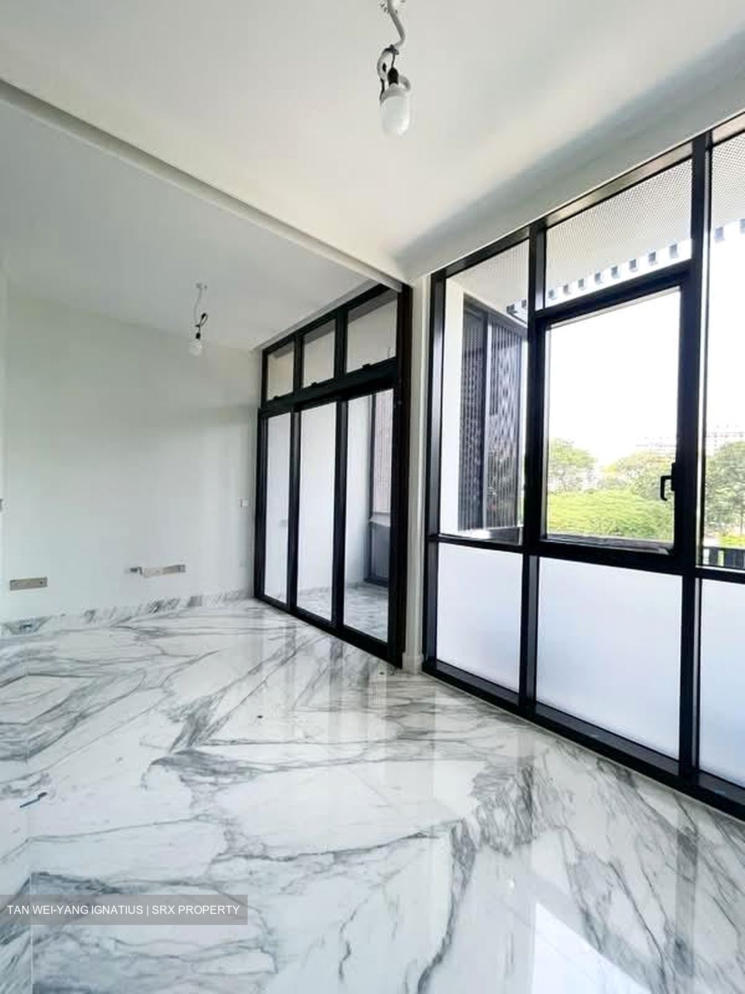 Van Holland (D10), Condominium #595747381